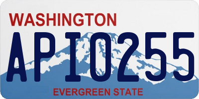 WA license plate API0255