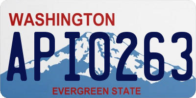 WA license plate API0263