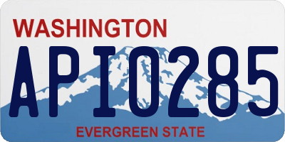 WA license plate API0285