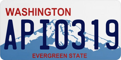 WA license plate API0319