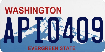 WA license plate API0409