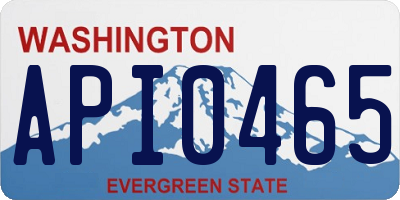 WA license plate API0465