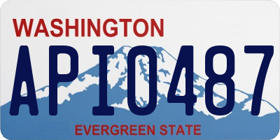 WA license plate API0487
