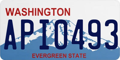WA license plate API0493
