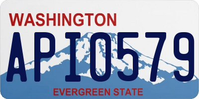 WA license plate API0579