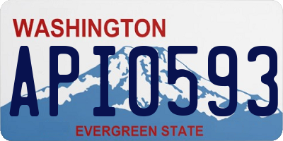 WA license plate API0593