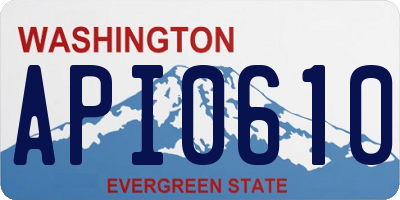 WA license plate API0610
