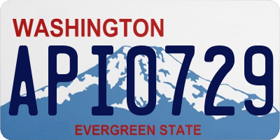 WA license plate API0729