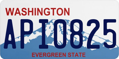 WA license plate API0825