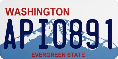 WA license plate API0891