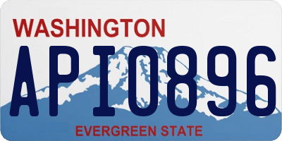 WA license plate API0896