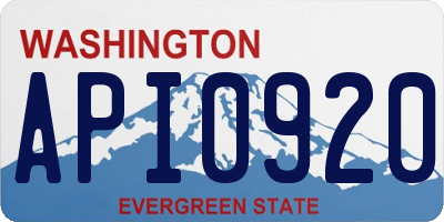 WA license plate API0920