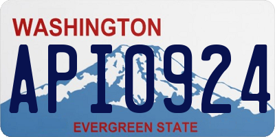 WA license plate API0924
