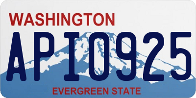 WA license plate API0925