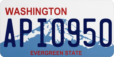 WA license plate API0950