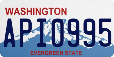 WA license plate API0995
