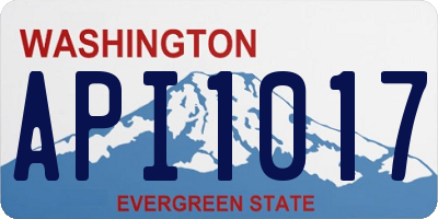 WA license plate API1017