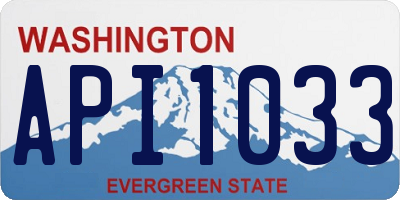 WA license plate API1033