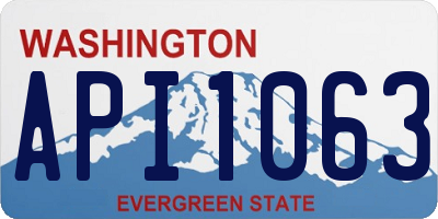 WA license plate API1063