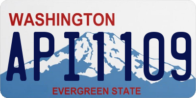 WA license plate API1109