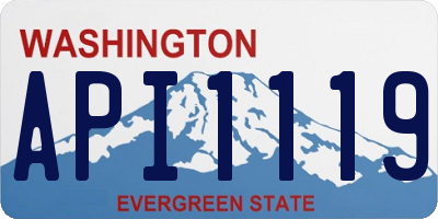 WA license plate API1119