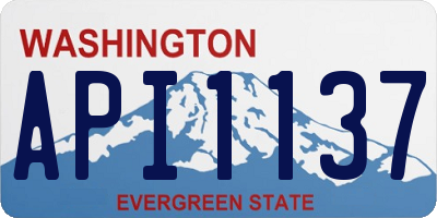 WA license plate API1137