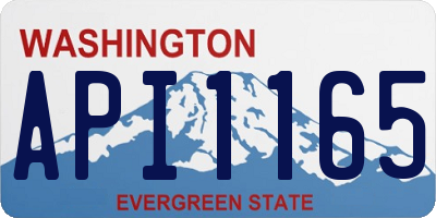 WA license plate API1165
