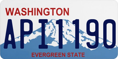 WA license plate API1190