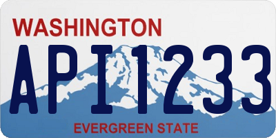 WA license plate API1233