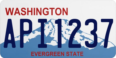 WA license plate API1237
