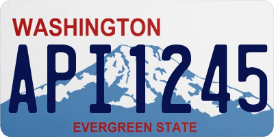 WA license plate API1245