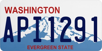 WA license plate API1291