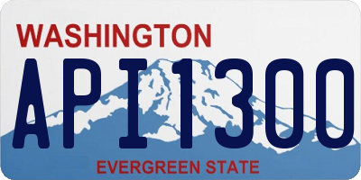 WA license plate API1300