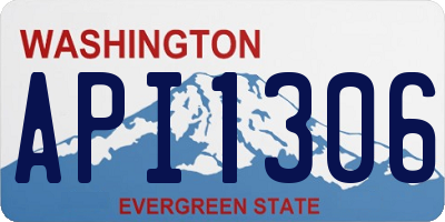 WA license plate API1306