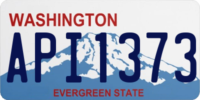 WA license plate API1373