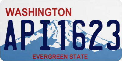WA license plate API1623
