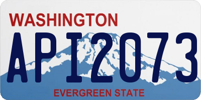 WA license plate API2073