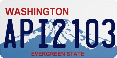 WA license plate API2103