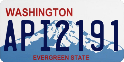 WA license plate API2191