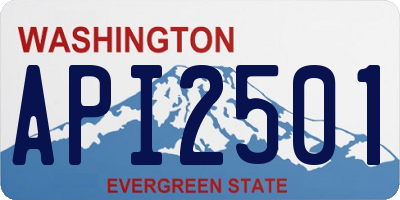 WA license plate API2501