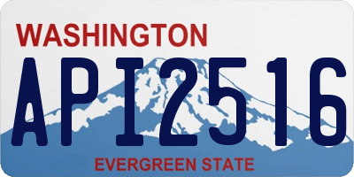 WA license plate API2516