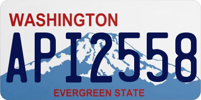 WA license plate API2558