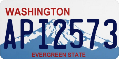 WA license plate API2573