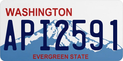 WA license plate API2591