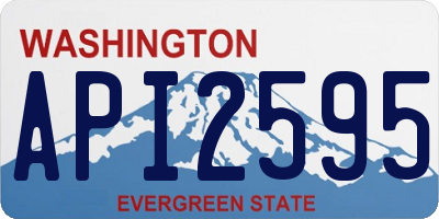 WA license plate API2595