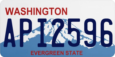 WA license plate API2596