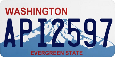 WA license plate API2597