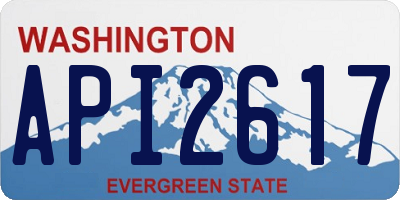 WA license plate API2617