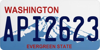 WA license plate API2623
