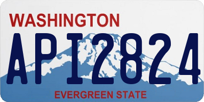 WA license plate API2824